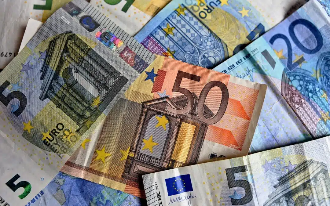 Avviso di accertamento dell’Agenzia dell’Entrate: i rimedi